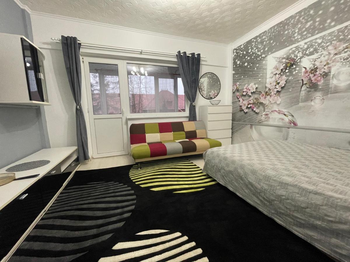 Central Colors Studio Petroşani المظهر الخارجي الصورة